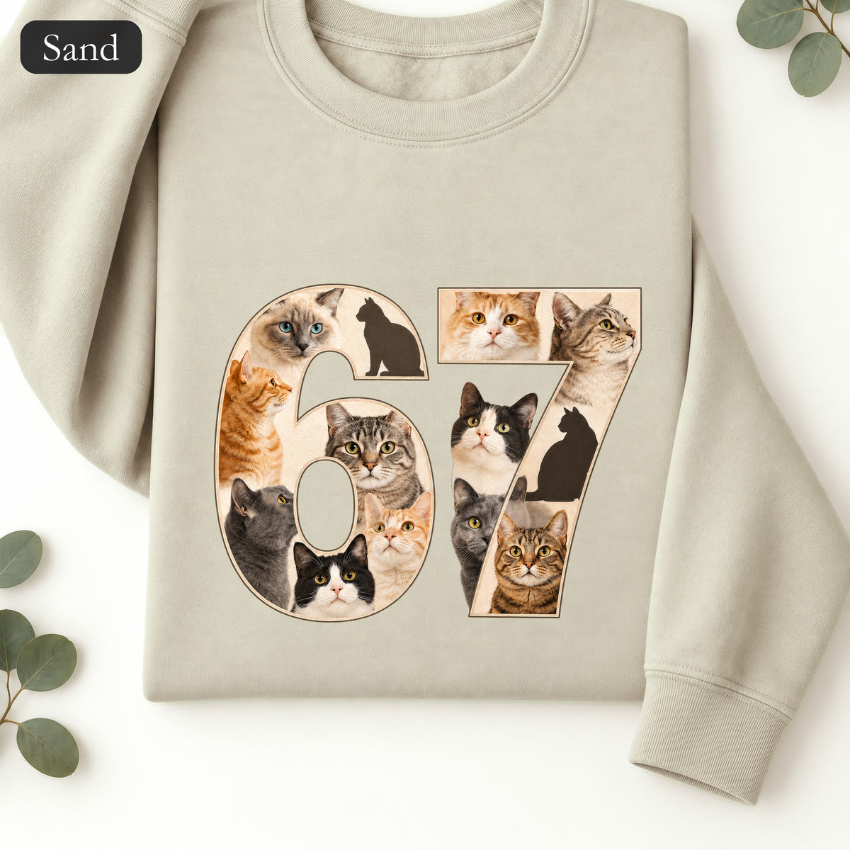 67 Cats Shirt, Funny 67 Meme Cat Tee, Trendy Cat Number Gift, Cat Lover Sweatshirt