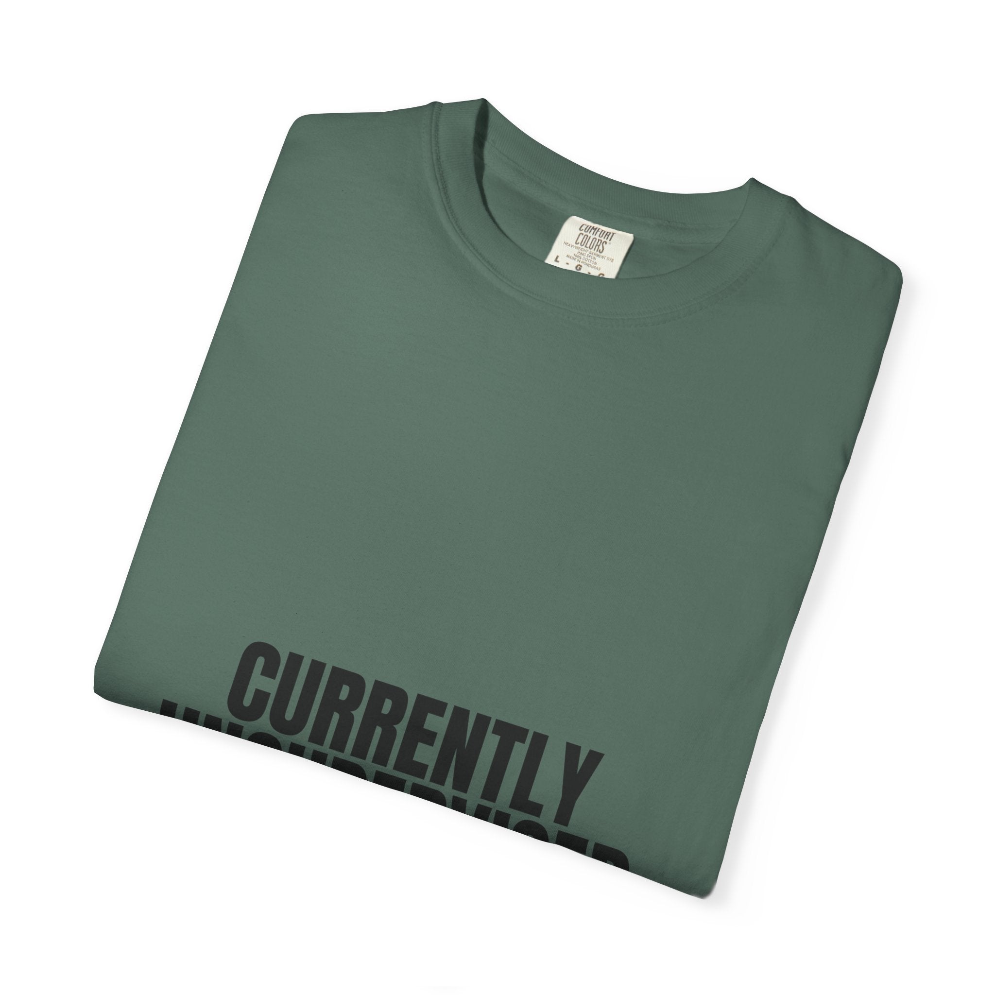 Currently Unsupervised Shirt, Funny Sarcastic Tee, Gag Gift, Humor Sweatshirt