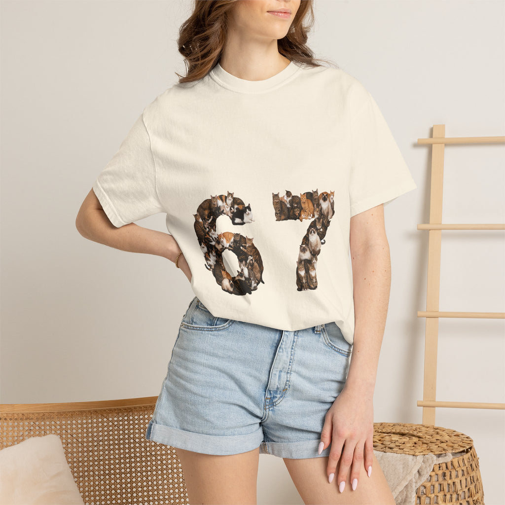 67 Cats Shirt, Funny 67 Meme Cat Tee, Trendy Cat Number Gift, Cat Lover Sweatshirt