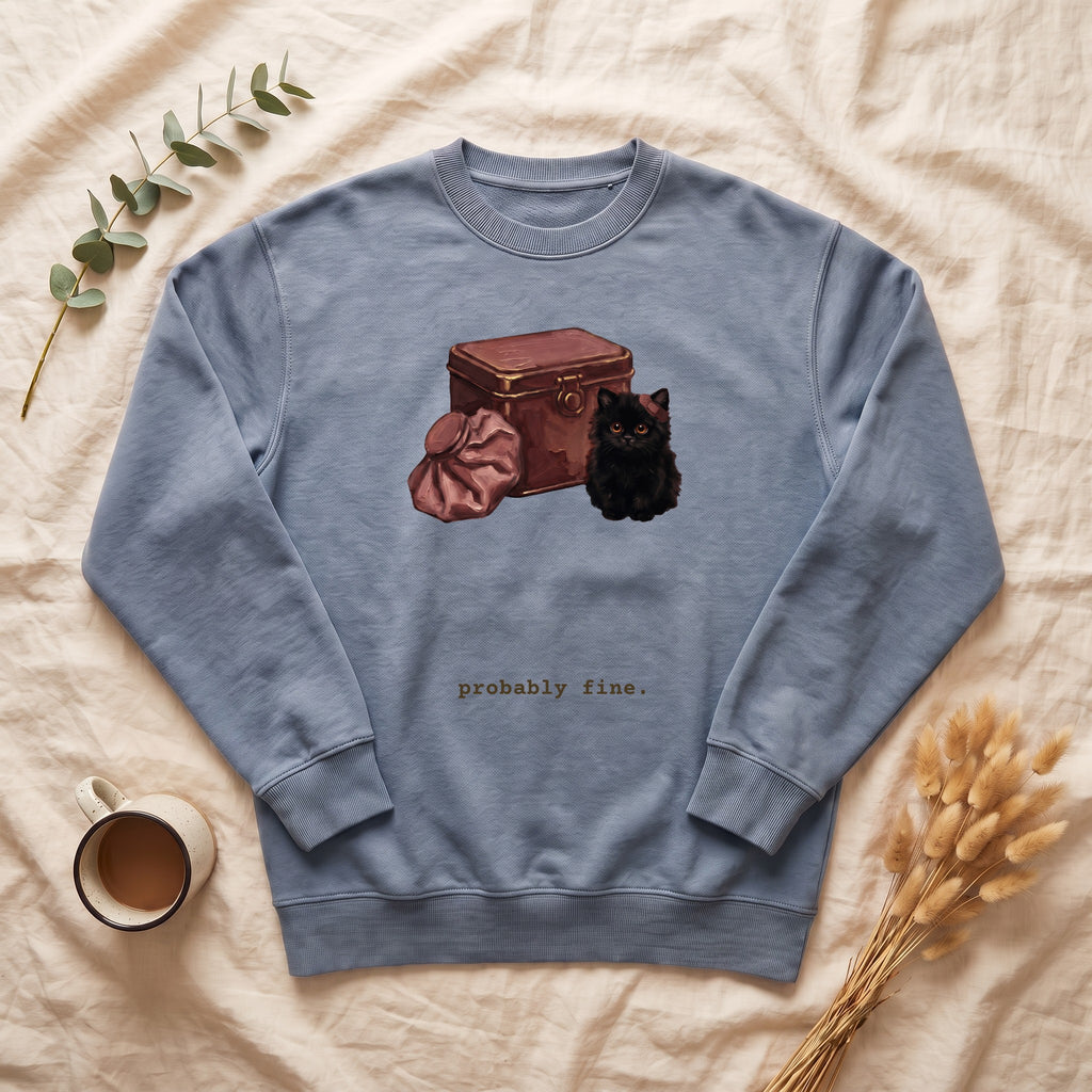 Probably Fine School Nurse Cat Sweatshirt, Funny Nurse Crewneck, First Aid Cat Nurse Sweatshirt, Nurse Appreciation Gift