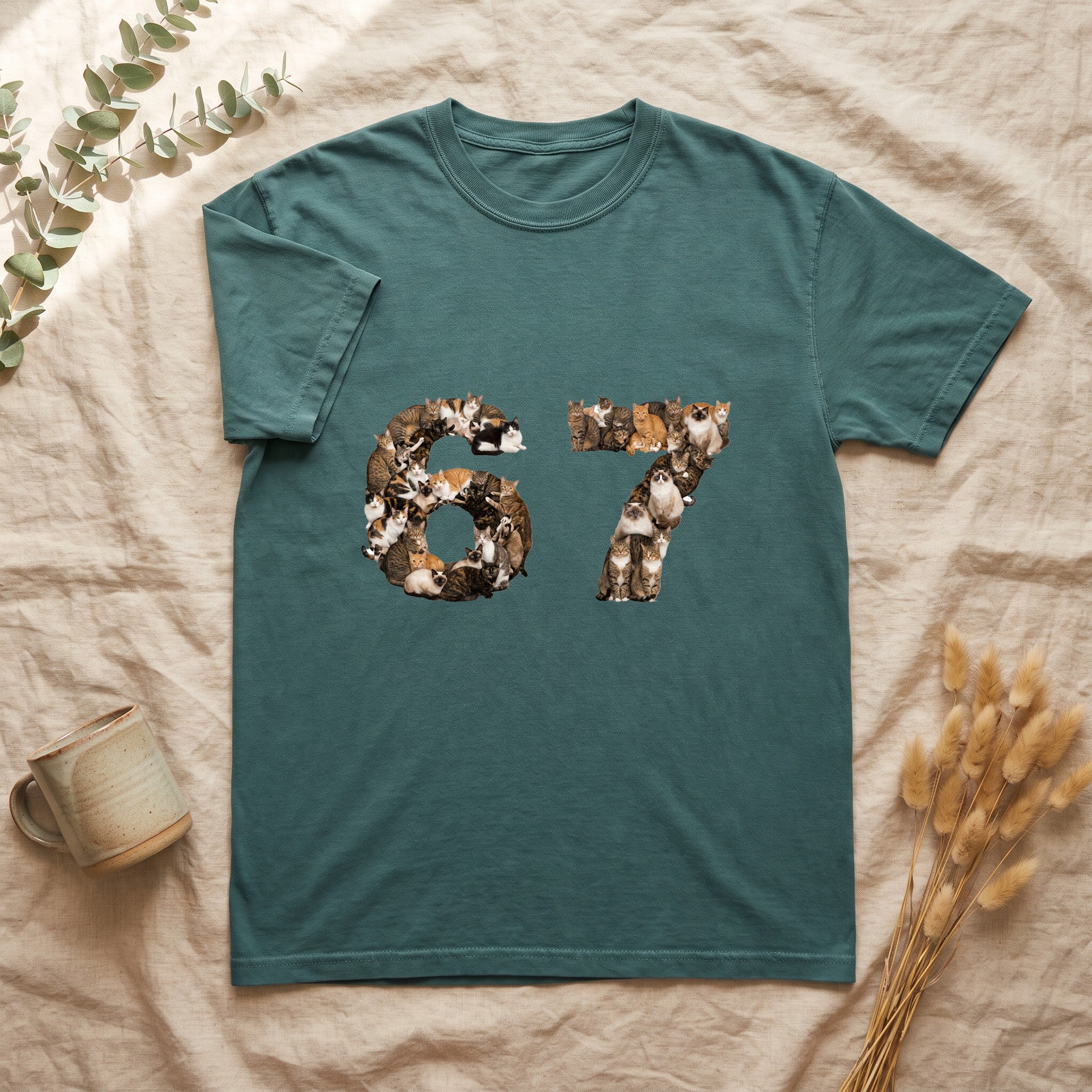 67 Cats Shirt, Funny 67 Meme Cat Tee, Trendy Cat Number Gift, Cat Lover Sweatshirt
