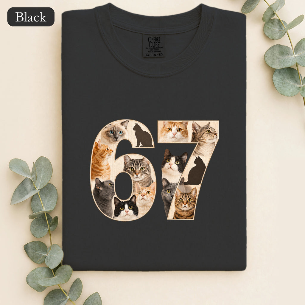 67 Cats Shirt, Funny 67 Meme Cat Tee, Trendy Cat Number Gift, Cat Lover Sweatshirt