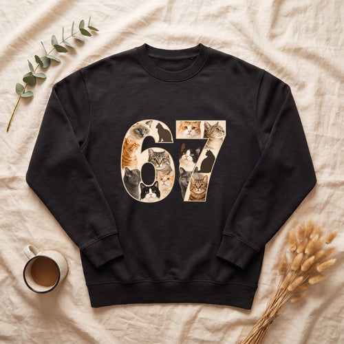 67 Cats Shirt, Funny 67 Meme Cat Tee, Trendy Cat Number Gift, Cat Lover Sweatshirt