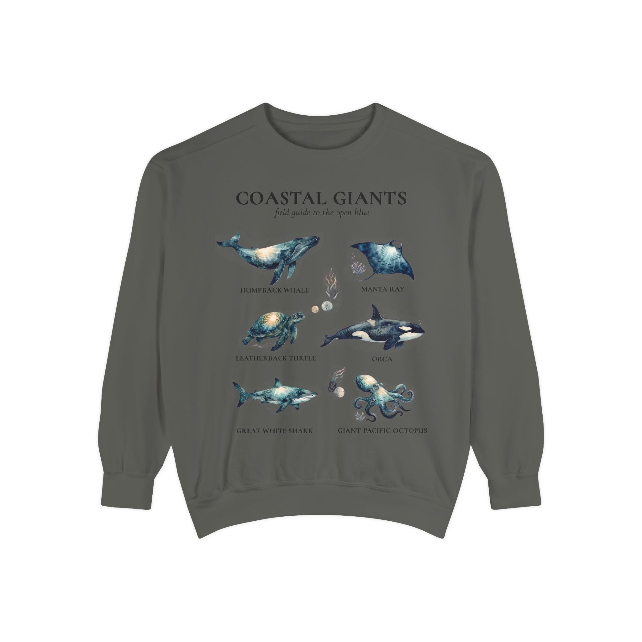 Coastal Giants Ocean Field Guide Shirt, Whale Manta Sea Turtle Tee, Marine Life Ocean Lover Gift, Nautical Sweatshirt