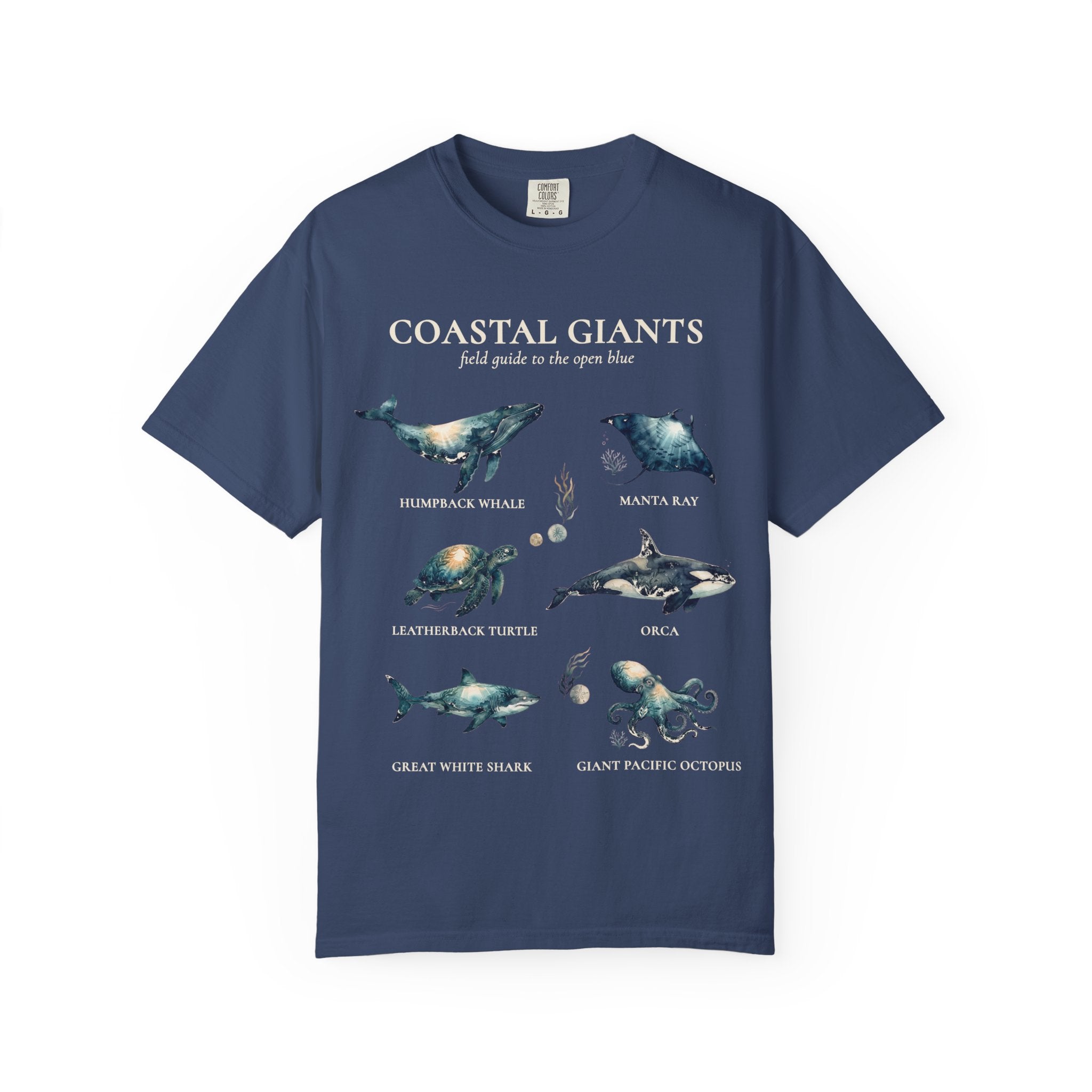 Coastal Giants Ocean Field Guide Shirt, Whale Manta Sea Turtle Tee, Marine Life Ocean Lover Gift, Nautical Sweatshirt