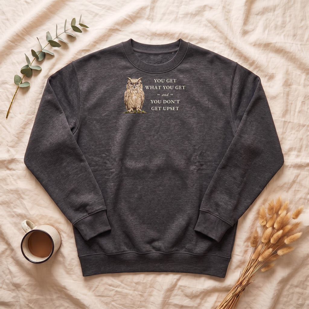 You Get What You Get Sweatshirt, Funny Teacher Owl Crewneck, Classroom Saying Shirt, Back to School Gift, Teacher Crewneck