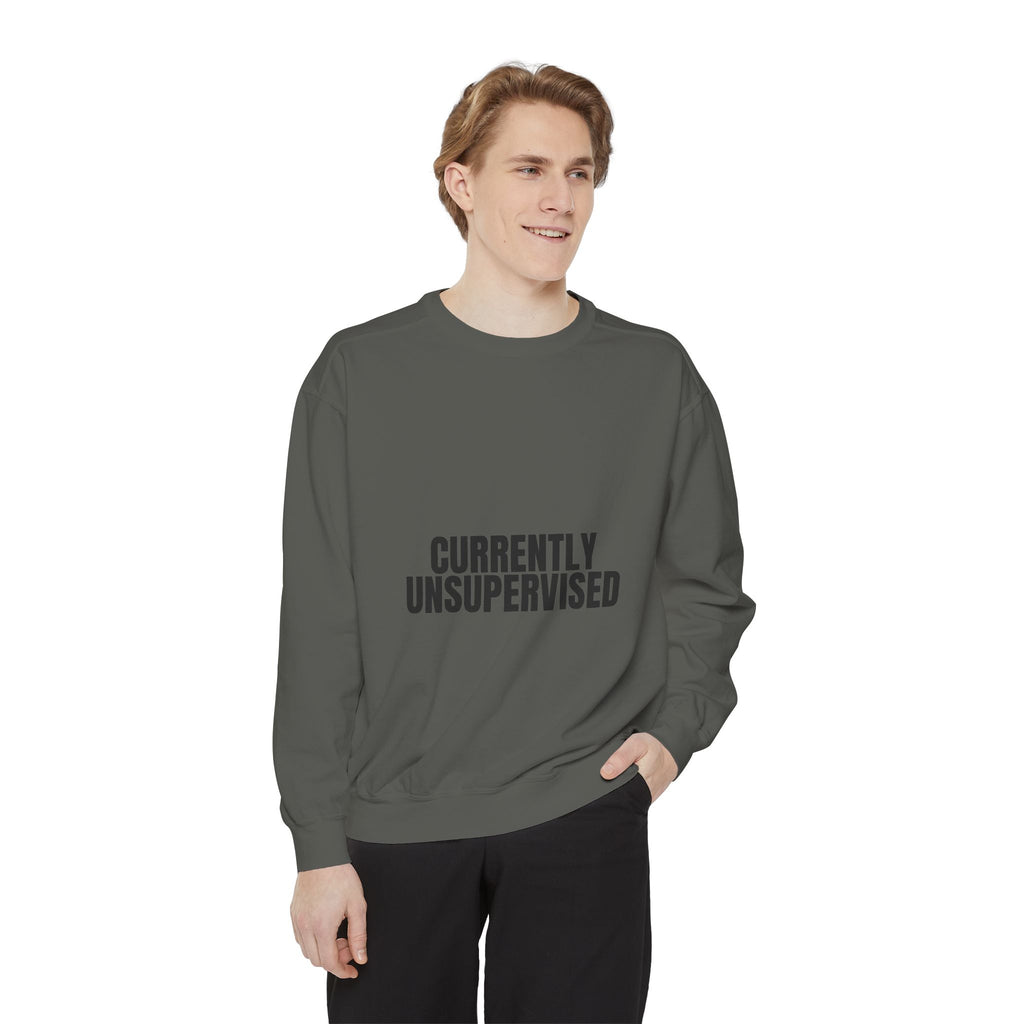 Currently Unsupervised Shirt, Funny Sarcastic Tee, Gag Gift, Humor Sweatshirt