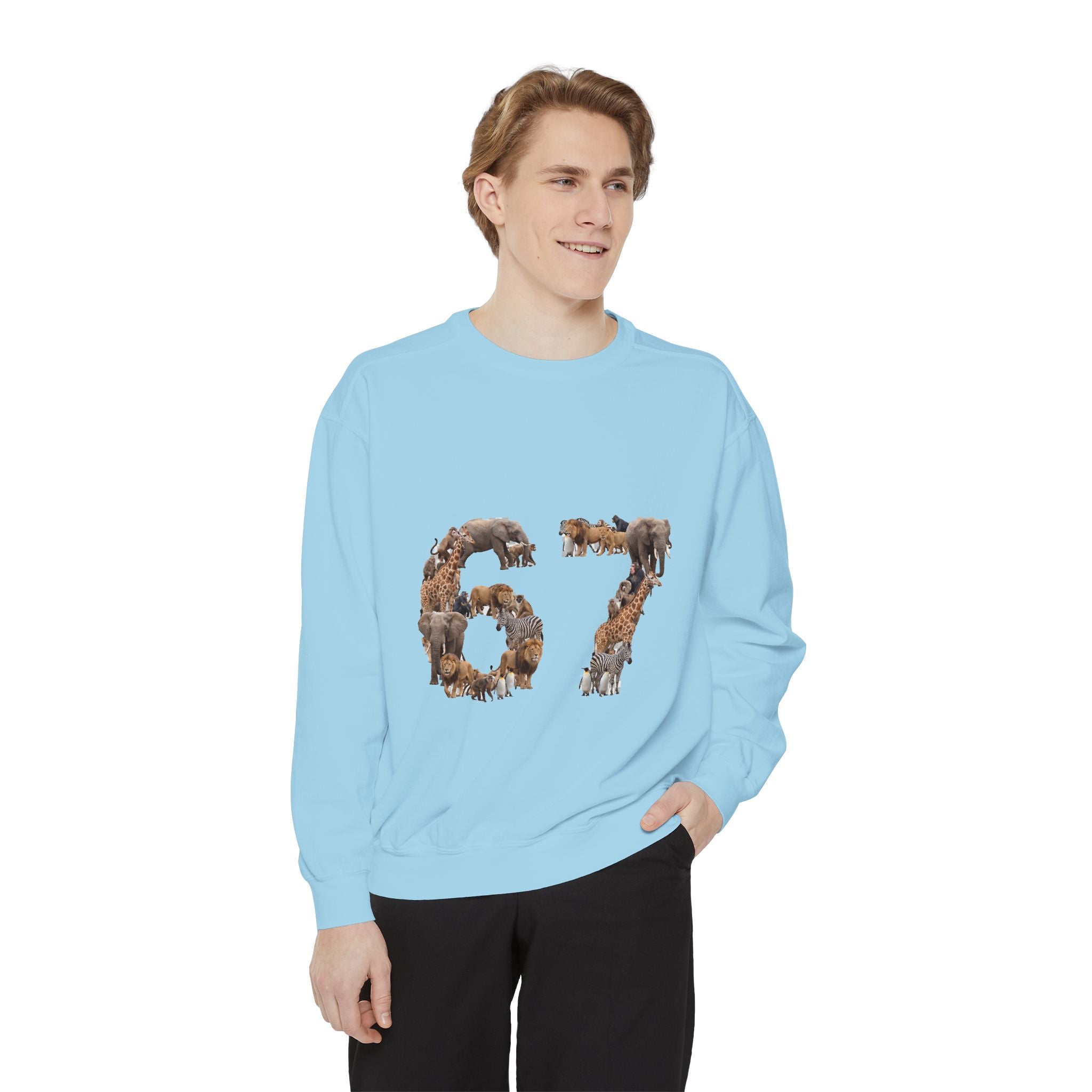 67 Zoo Animals Shirt, Funny 67 Meme Tee, Trendy Animal Number Gift, Giraffe Elephant Lion Sweatshirt