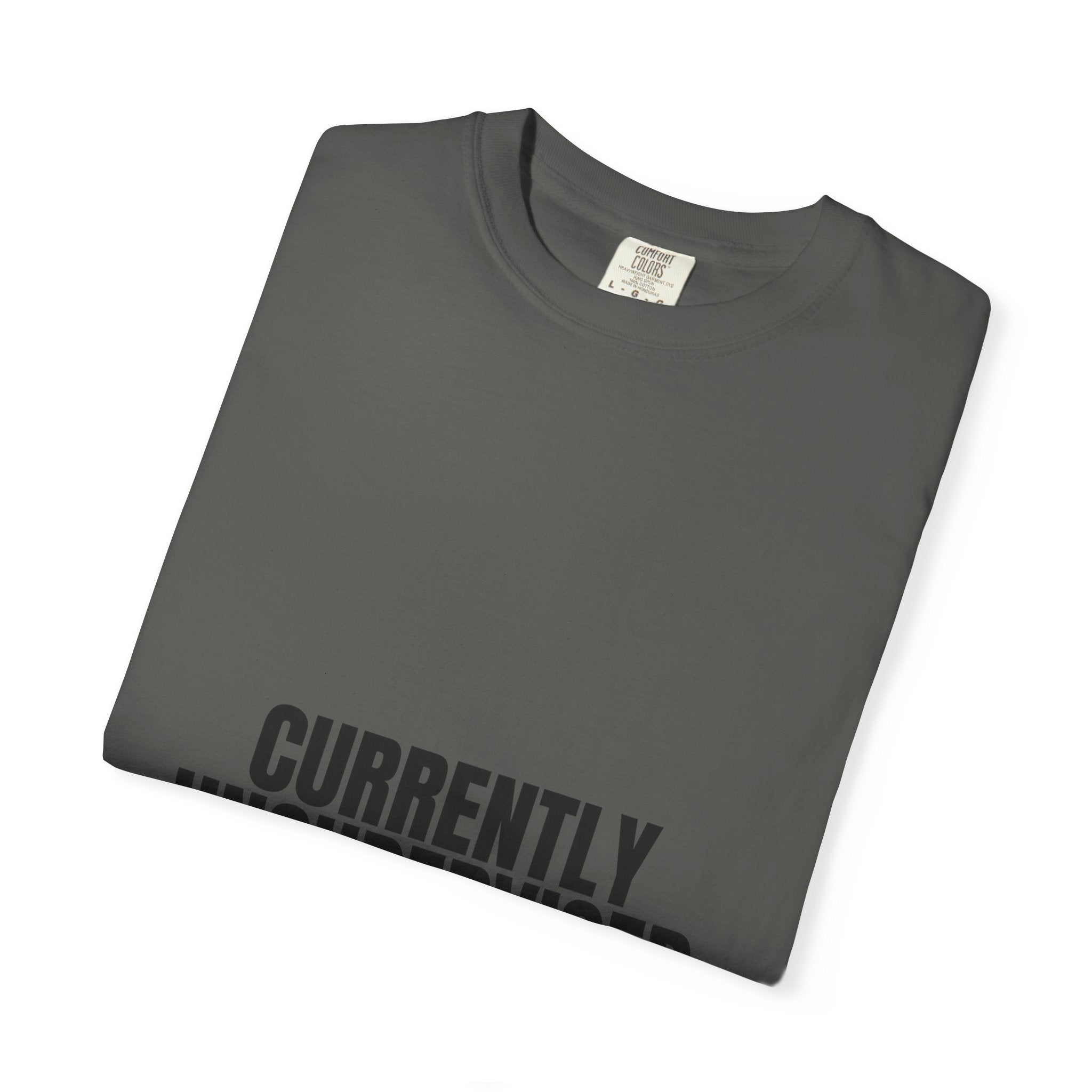 Currently Unsupervised Shirt, Funny Sarcastic Tee, Gag Gift, Humor Sweatshirt