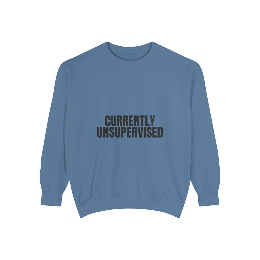 Currently Unsupervised Shirt, Funny Sarcastic Tee, Gag Gift, Humor Sweatshirt