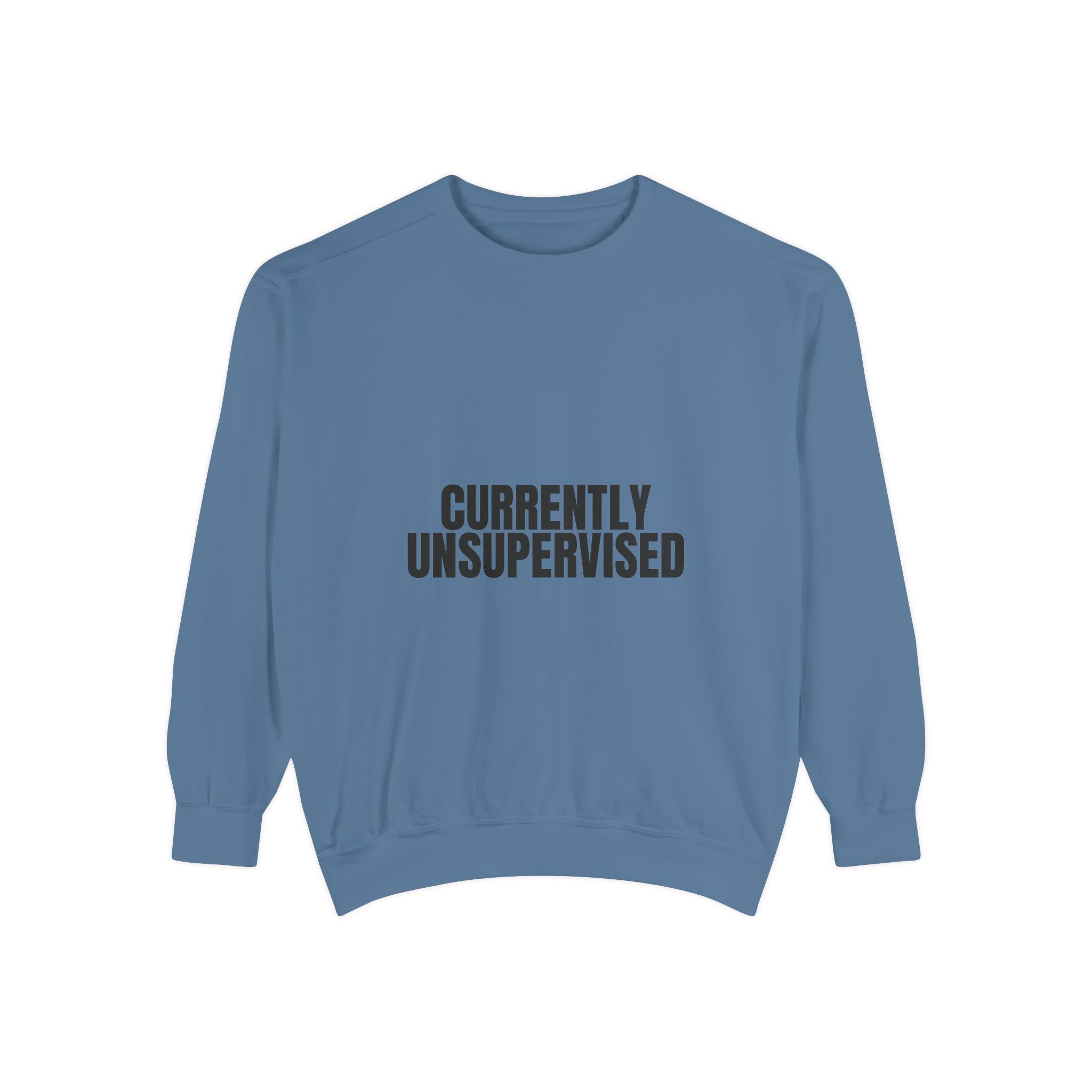 Currently Unsupervised Shirt, Funny Sarcastic Tee, Gag Gift, Humor Sweatshirt