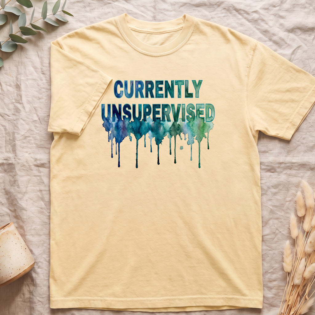 Currently Unsupervised Shirt, Funny Watercolor Sarcastic Tee, Chaotic Adult Humor Tee, Gift for a Troublemaker Friend