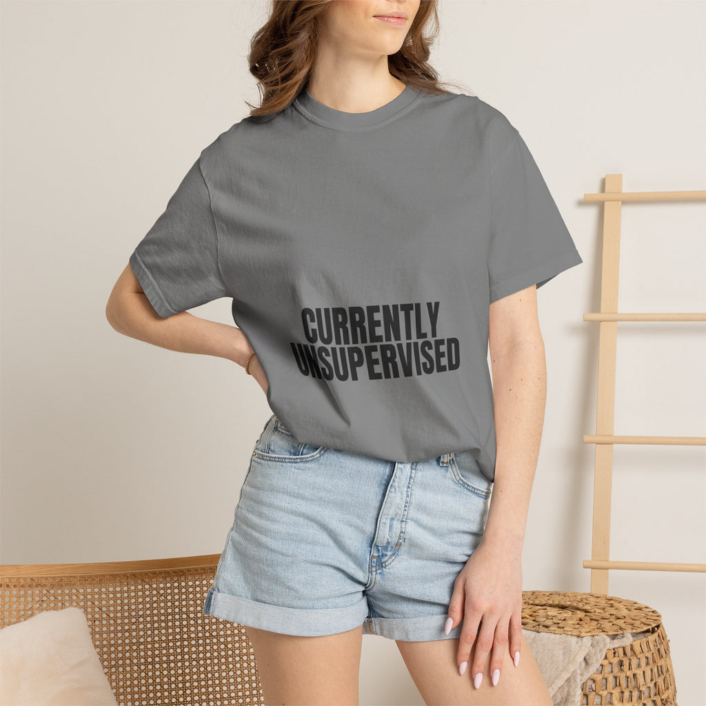 Currently Unsupervised Shirt, Funny Sarcastic Tee, Gag Gift, Humor Sweatshirt
