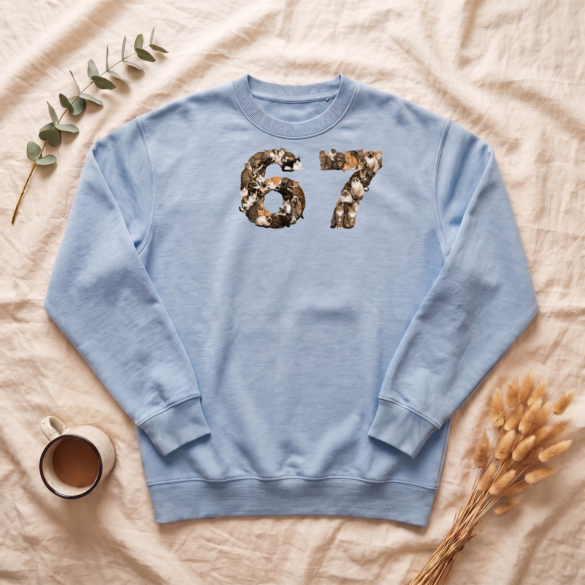 67 Cats Shirt, Funny 67 Meme Cat Tee, Trendy Cat Number Gift, Cat Lover Sweatshirt