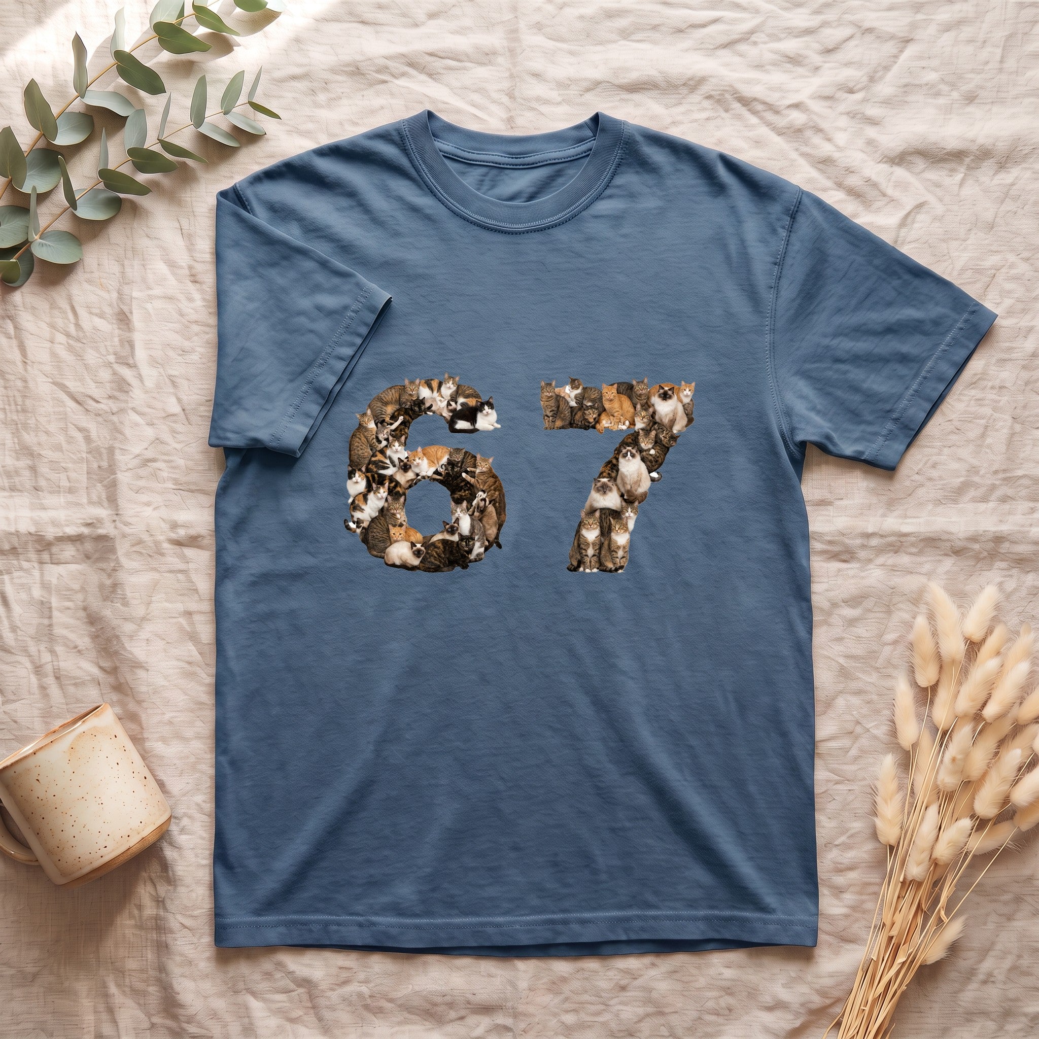 67 Cats Shirt, Funny 67 Meme Cat Tee, Trendy Cat Number Gift, Cat Lover Sweatshirt