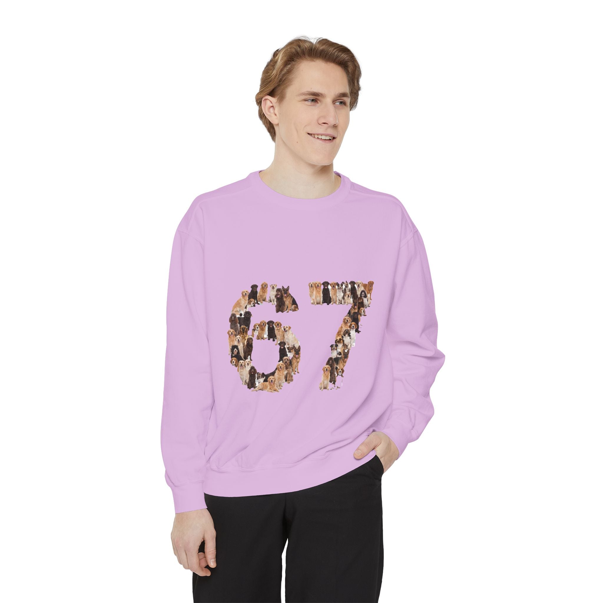 67 Dogs Shirt, Funny 67 Meme Dog Tee, Trendy Dog Number Gift, Dog Lover Sweatshirt