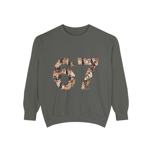 67 Dogs Shirt, Funny 67 Meme Dog Tee, Trendy Dog Number Gift, Dog Lover Sweatshirt
