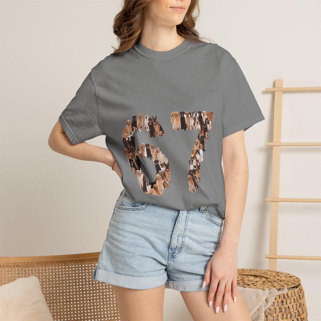67 Dogs Shirt, Funny 67 Meme Dog Tee, Trendy Dog Number Gift, Dog Lover Sweatshirt