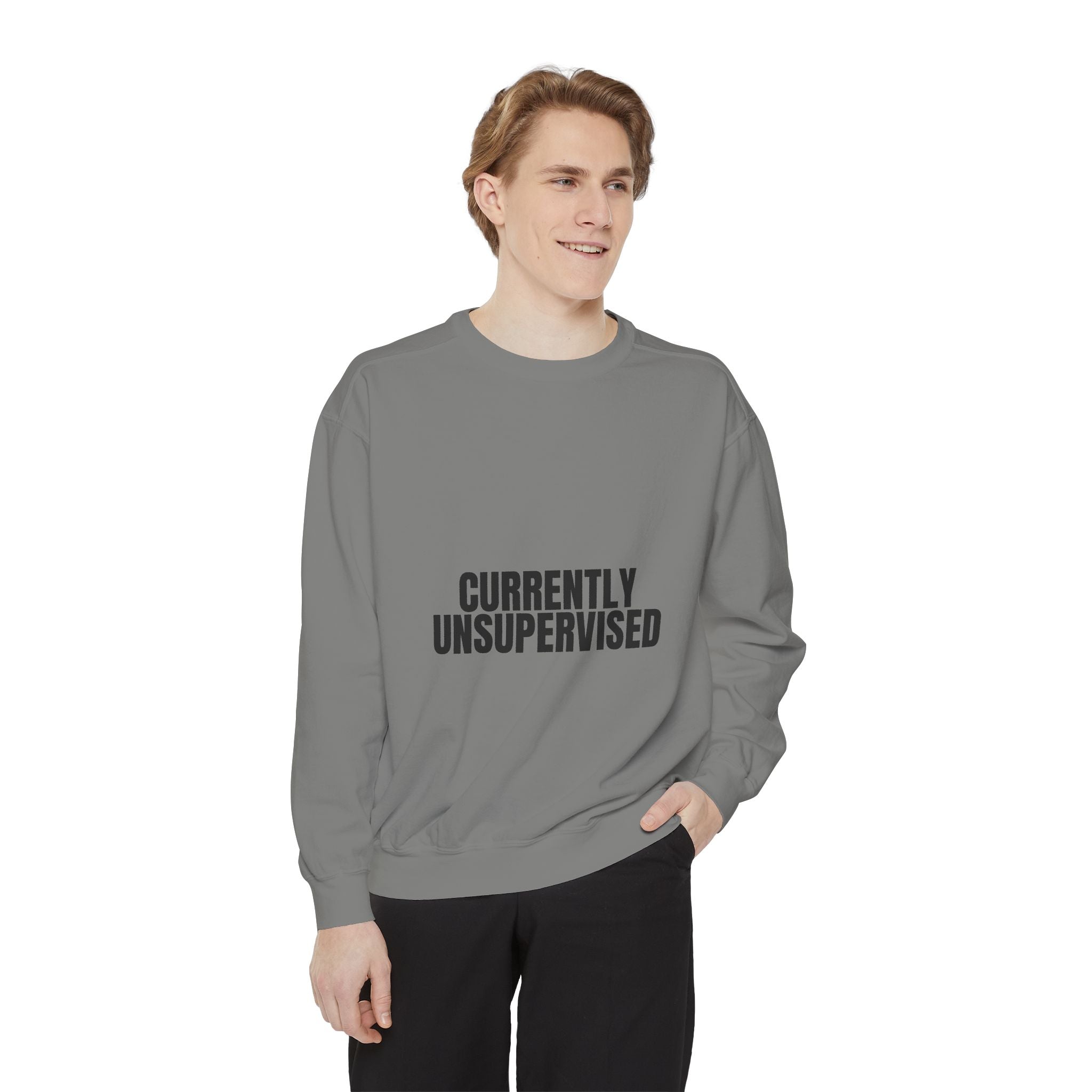 Currently Unsupervised Shirt, Funny Sarcastic Tee, Gag Gift, Humor Sweatshirt