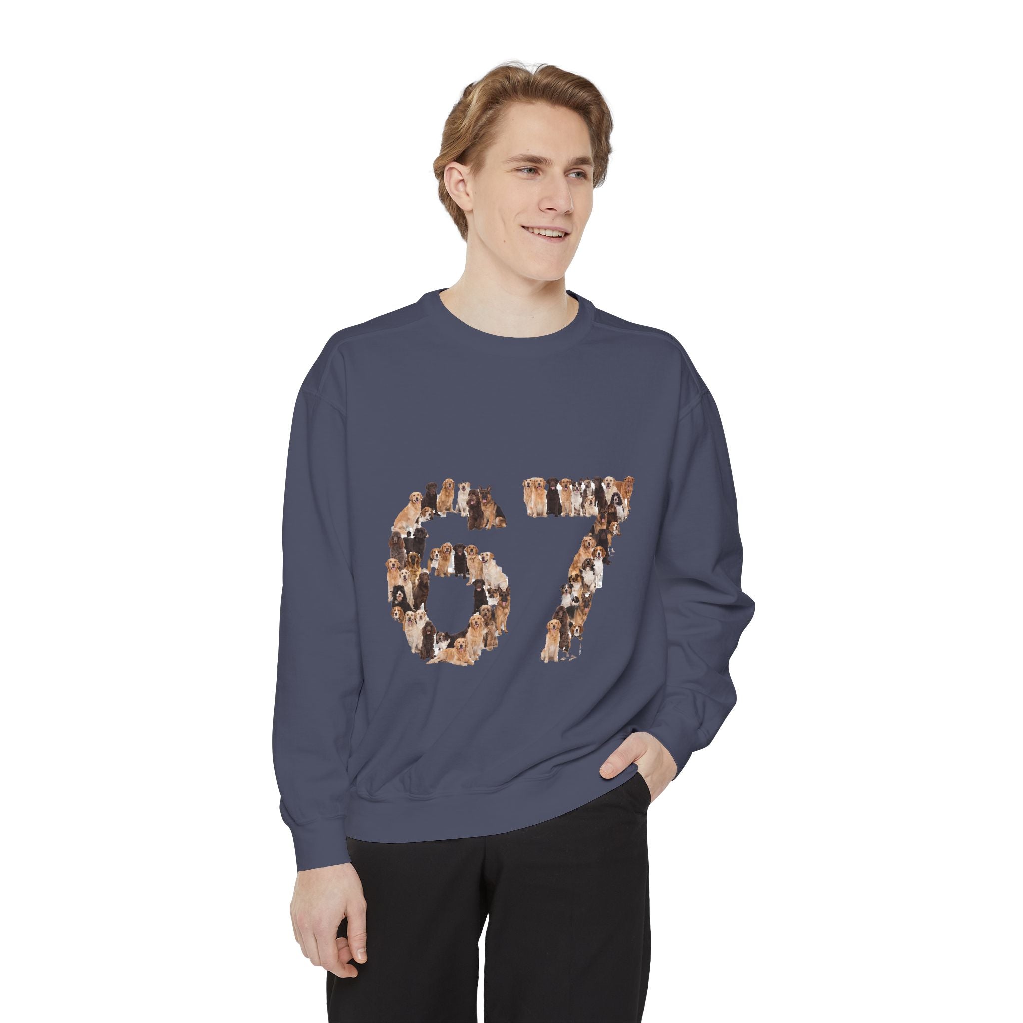 67 Dogs Shirt, Funny 67 Meme Dog Tee, Trendy Dog Number Gift, Dog Lover Sweatshirt