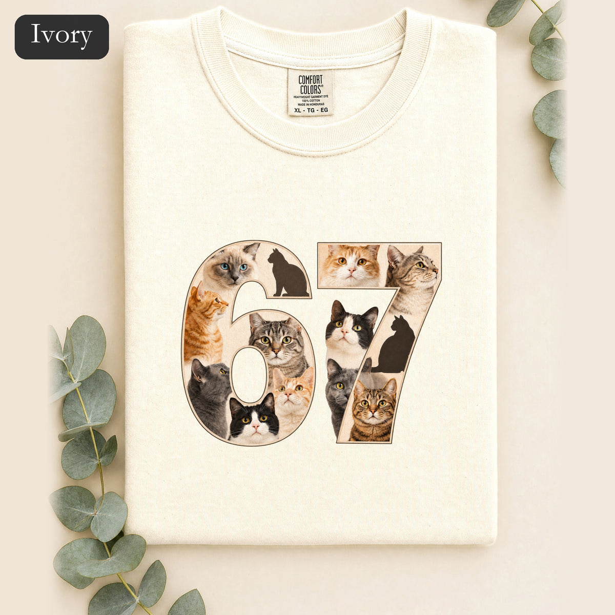 67 Cats Shirt, Funny 67 Meme Cat Tee, Trendy Cat Number Gift, Cat Lover Sweatshirt