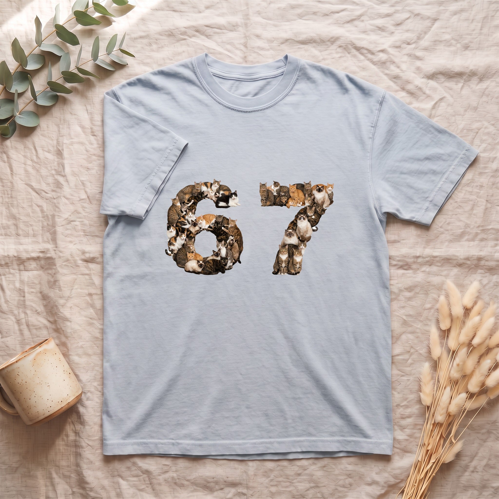 67 Cats Shirt, Funny 67 Meme Cat Tee, Trendy Cat Number Gift, Cat Lover Sweatshirt