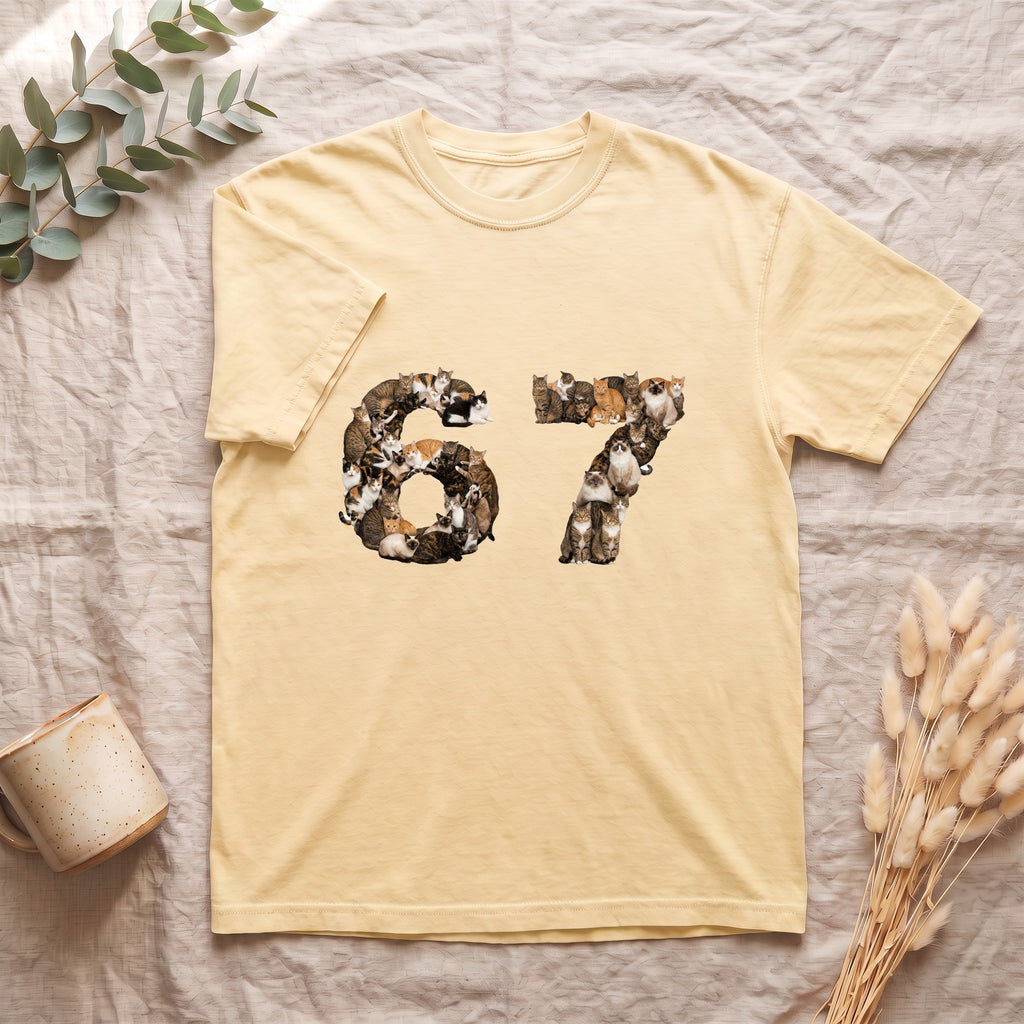 67 Cats Shirt, Funny 67 Meme Cat Tee, Trendy Cat Number Gift, Cat Lover Sweatshirt