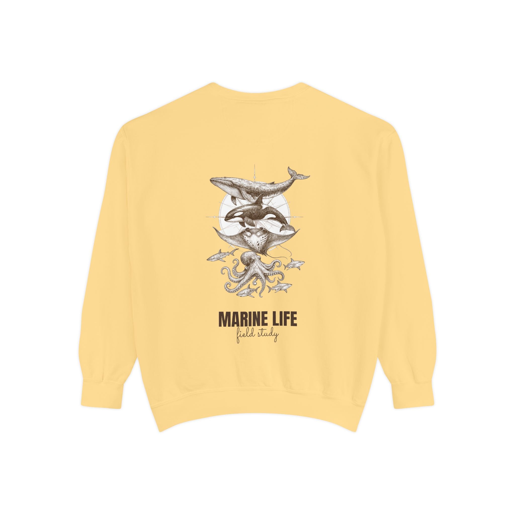 Ocean Life Sketch Shirt, Vintage Marine Animals Tee, Sailor Journal Sea Life Gift, Nautical Ocean Lover Sweatshirt