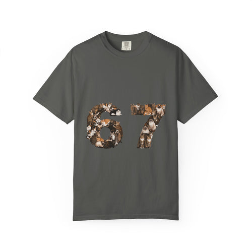 67 Cats Shirt, Funny 67 Meme Cat Tee, Trendy Cat Number Gift, Cat Lover Sweatshirt
