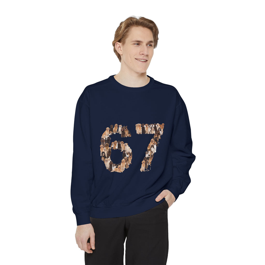 67 Dogs Shirt, Funny 67 Meme Dog Tee, Trendy Dog Number Gift, Dog Lover Sweatshirt