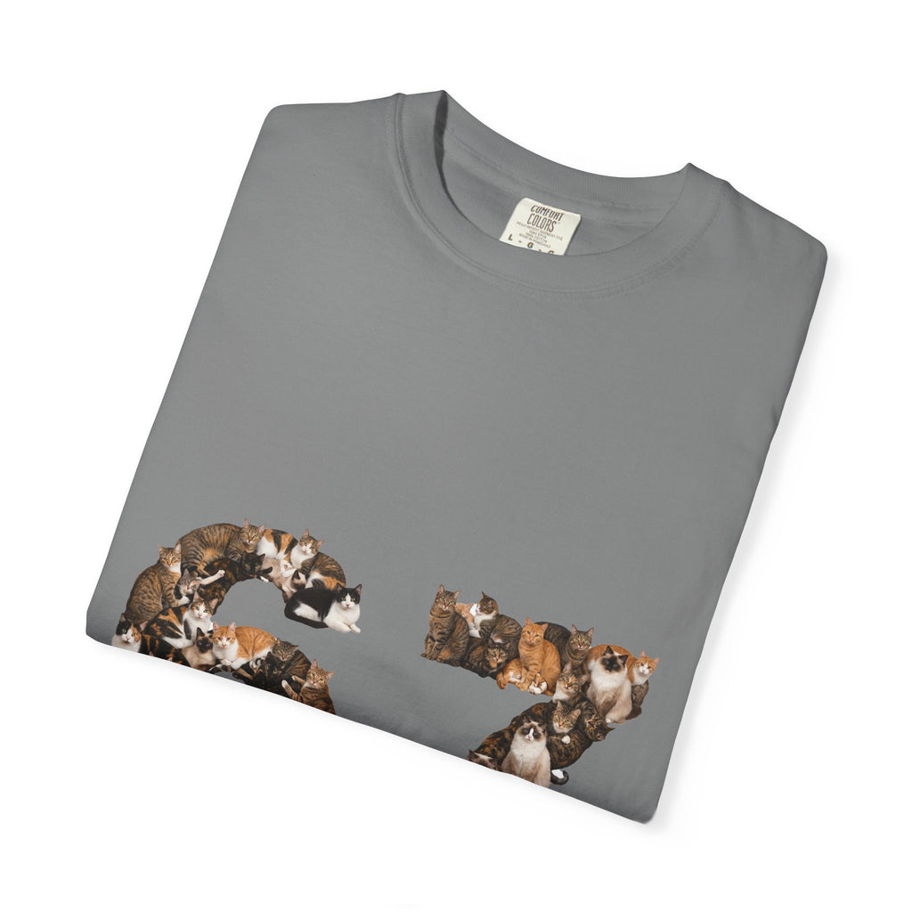 67 Cats Shirt, Funny 67 Meme Cat Tee, Trendy Cat Number Gift, Cat Lover Sweatshirt