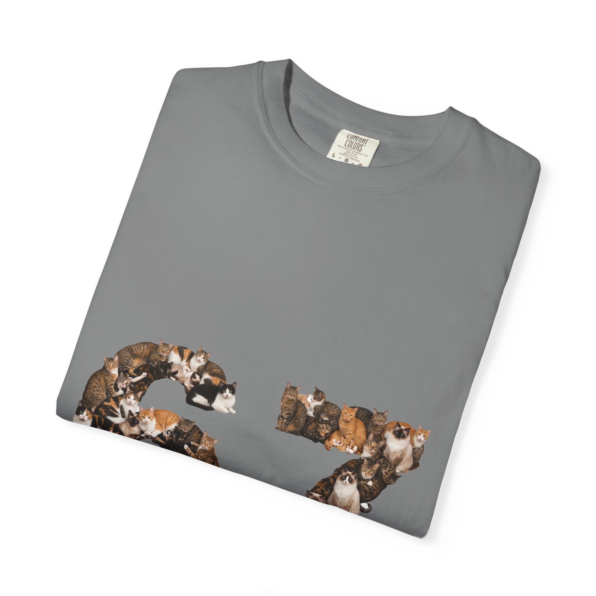 67 Cats Shirt, Funny 67 Meme Cat Tee, Trendy Cat Number Gift, Cat Lover Sweatshirt