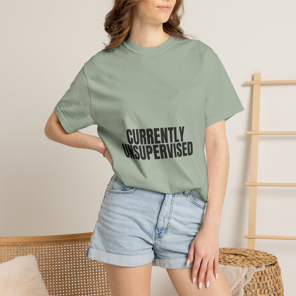 Currently Unsupervised Shirt, Funny Sarcastic Tee, Gag Gift, Humor Sweatshirt