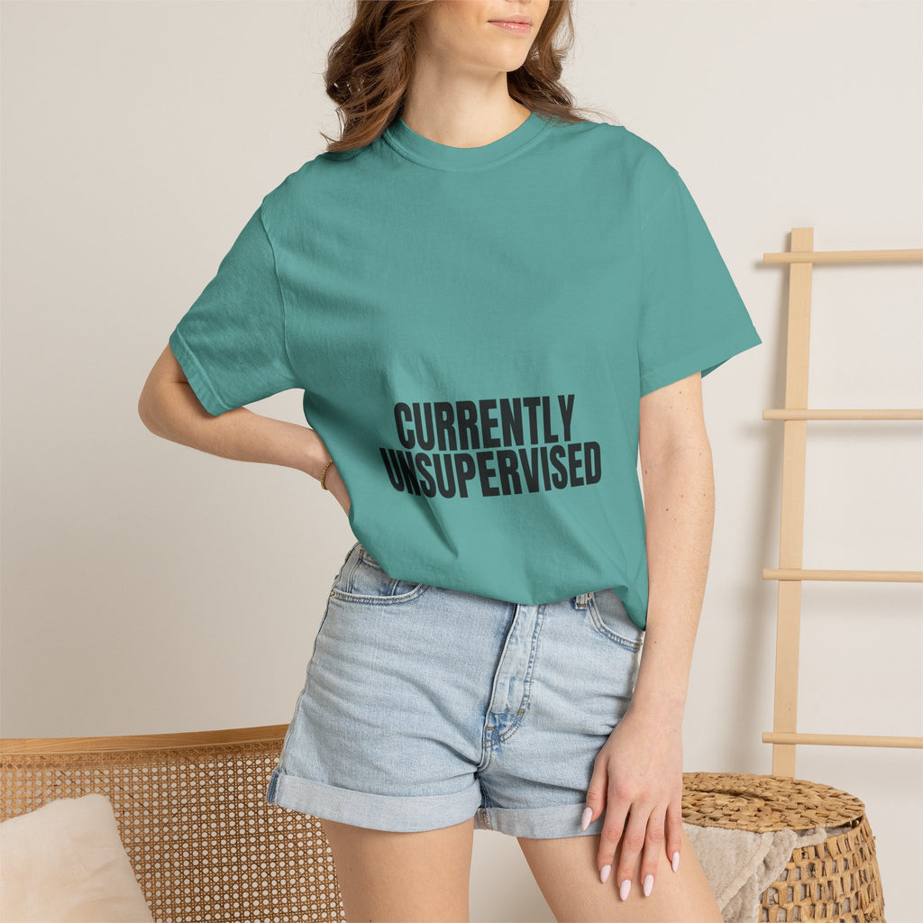 Currently Unsupervised Shirt, Funny Sarcastic Tee, Gag Gift, Humor Sweatshirt