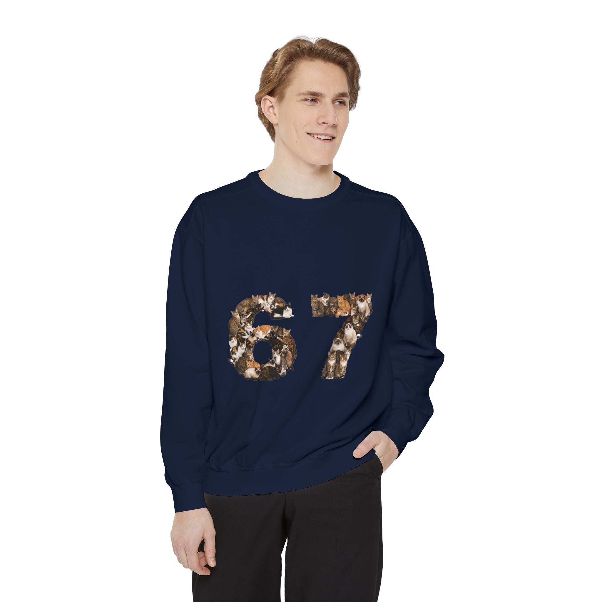 67 Cats Shirt, Funny 67 Meme Cat Tee, Trendy Cat Number Gift, Cat Lover Sweatshirt