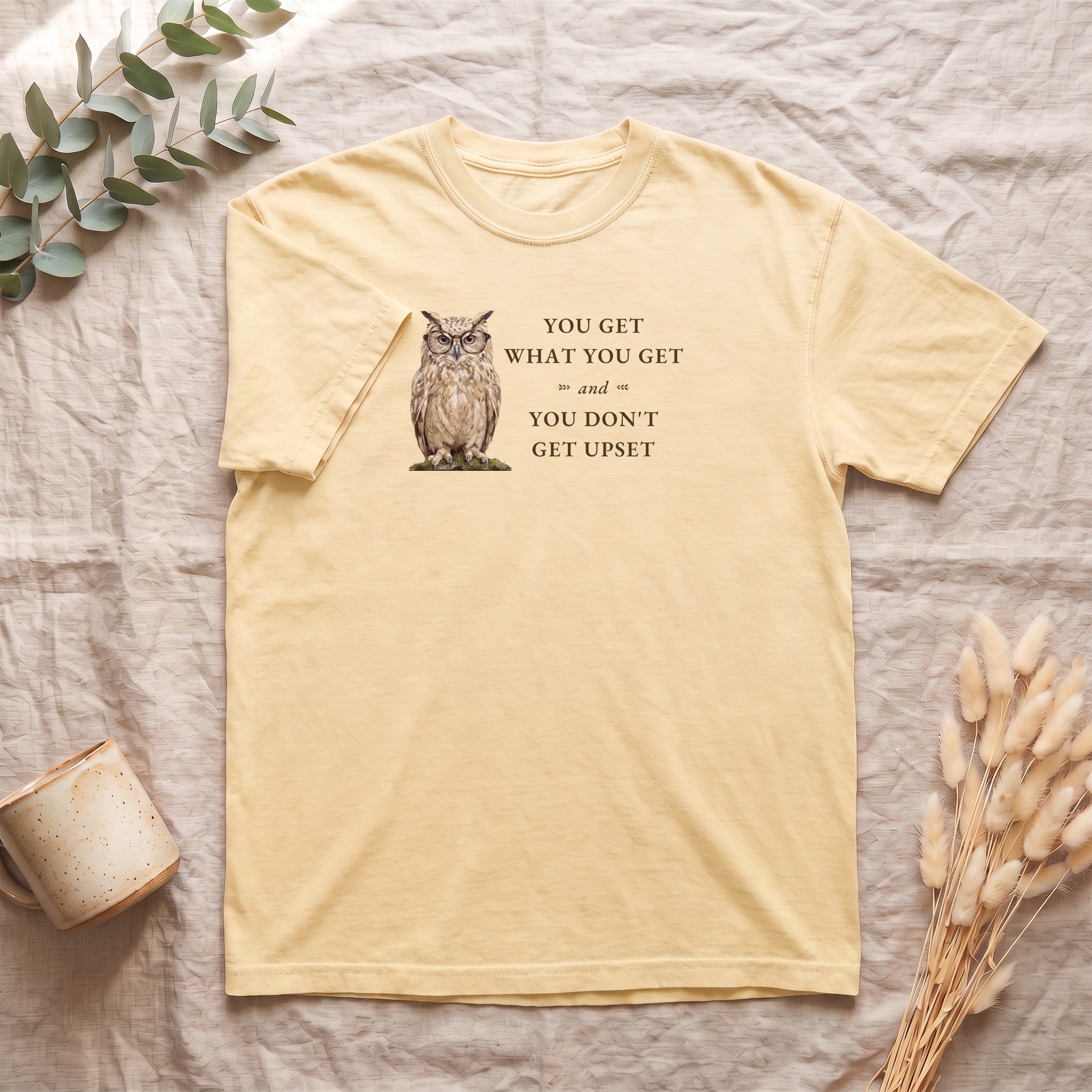 You Get What You Get Shirt, Funny Teacher Owl Tee, Classroom Saying Shirt, Back to School Gift, Preschool Teacher Tee