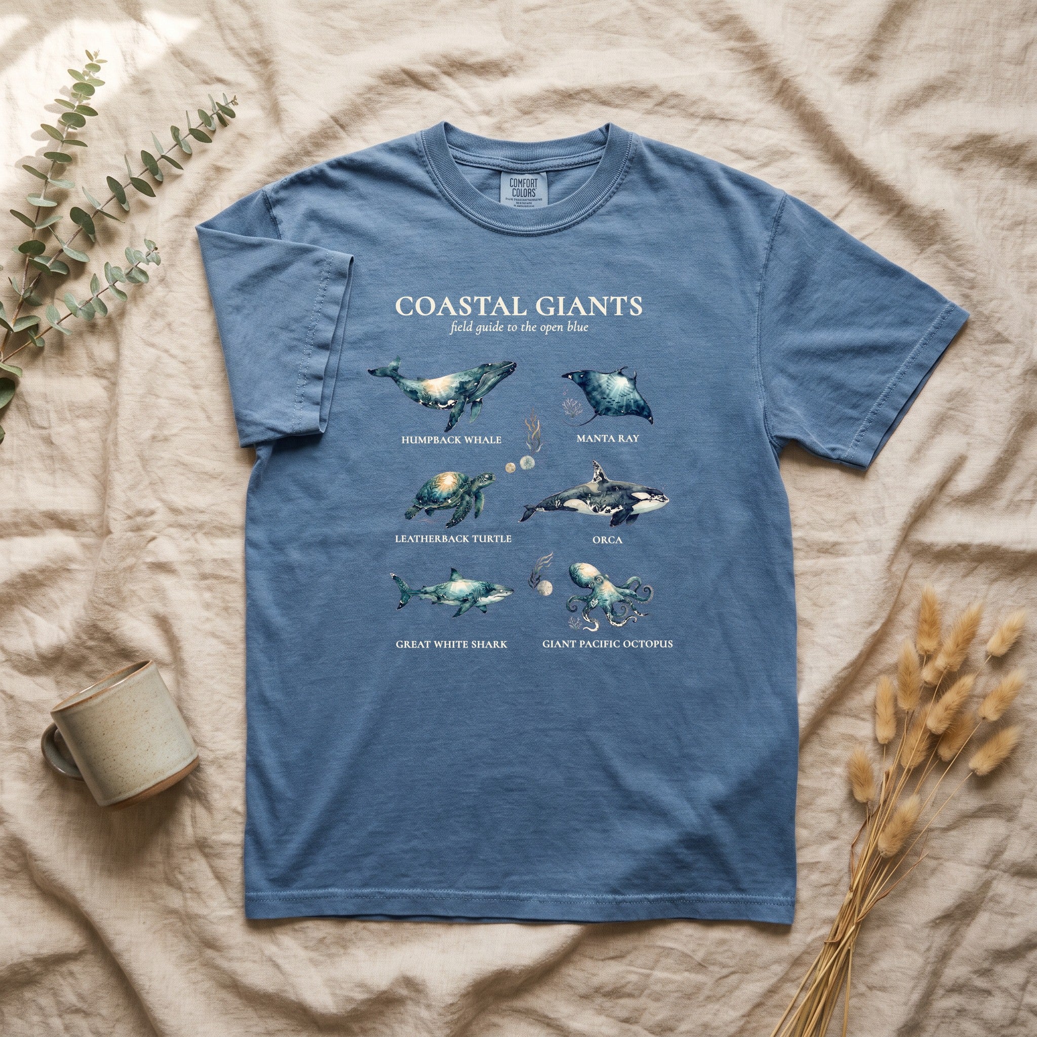Coastal Giants Ocean Field Guide Shirt, Whale Manta Sea Turtle Tee, Marine Life Ocean Lover Gift, Nautical Sweatshirt