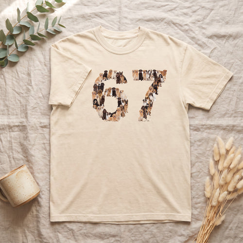 67 Dogs Shirt, Funny 67 Meme Dog Tee, Trendy Dog Number Gift, Dog Lover Sweatshirt