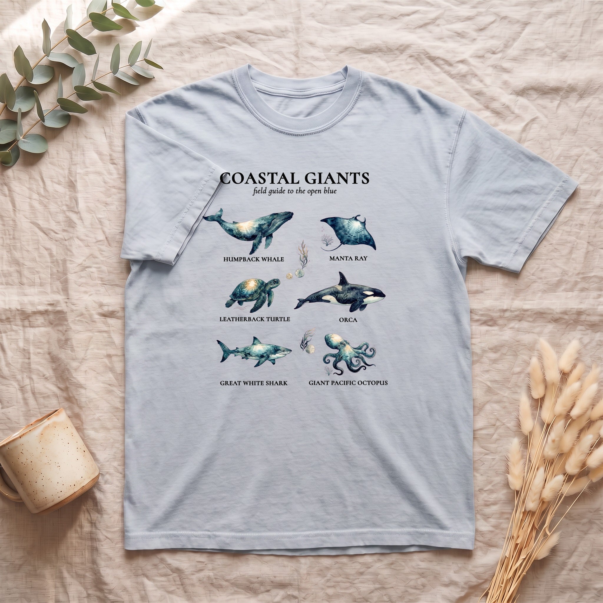 Coastal Giants Ocean Field Guide Shirt, Whale Manta Sea Turtle Tee, Marine Life Ocean Lover Gift, Nautical Sweatshirt
