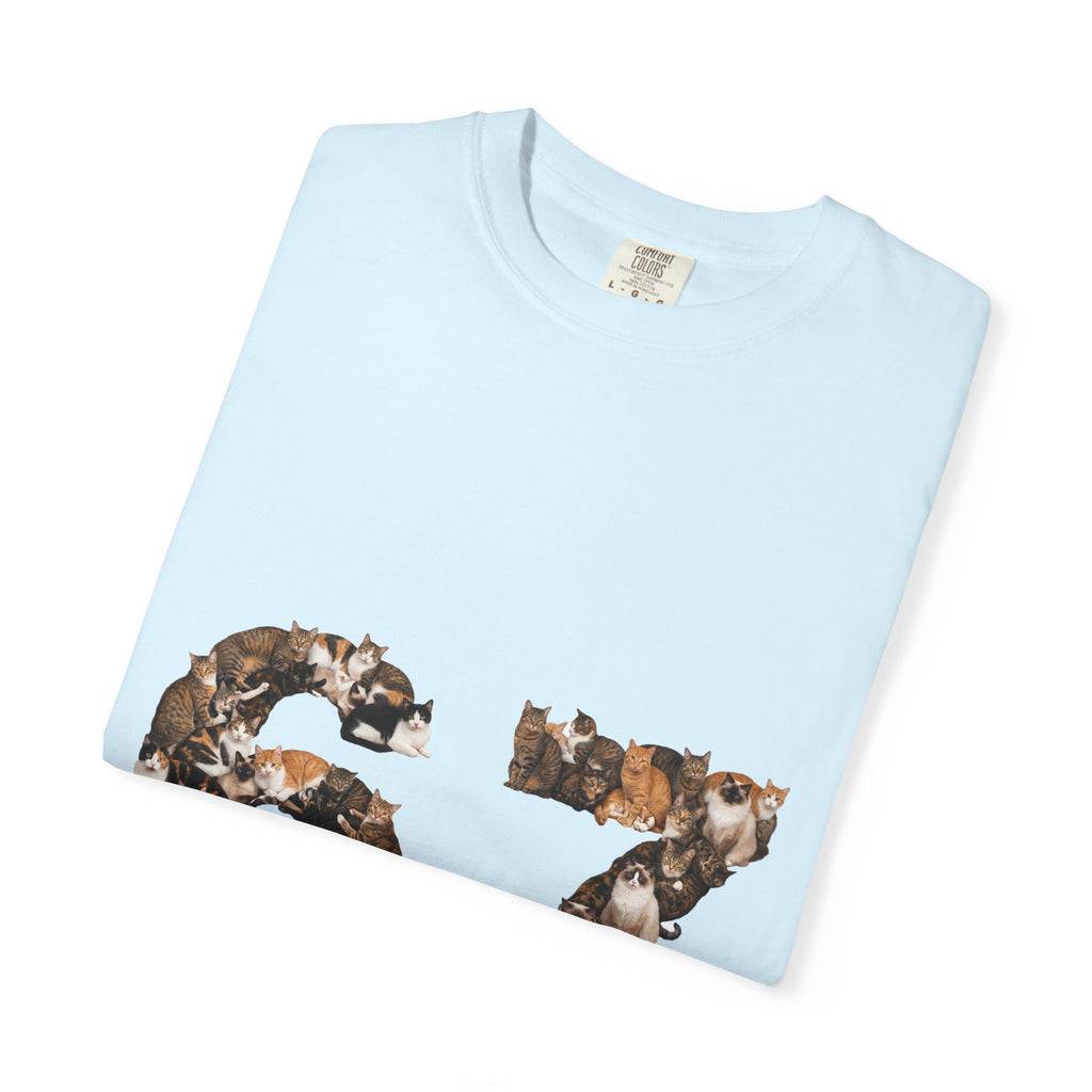 67 Cats Shirt, Funny 67 Meme Cat Tee, Trendy Cat Number Gift, Cat Lover Sweatshirt