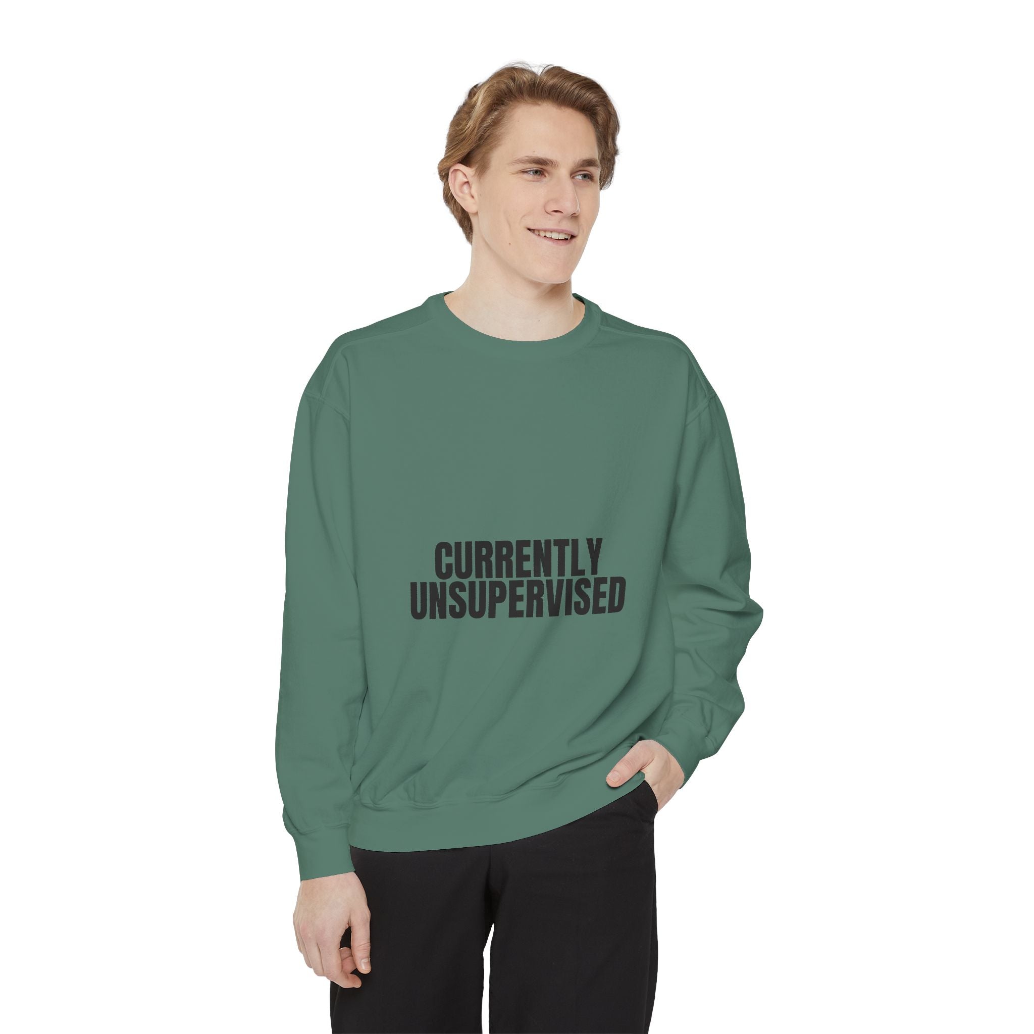 Currently Unsupervised Shirt, Funny Sarcastic Tee, Gag Gift, Humor Sweatshirt