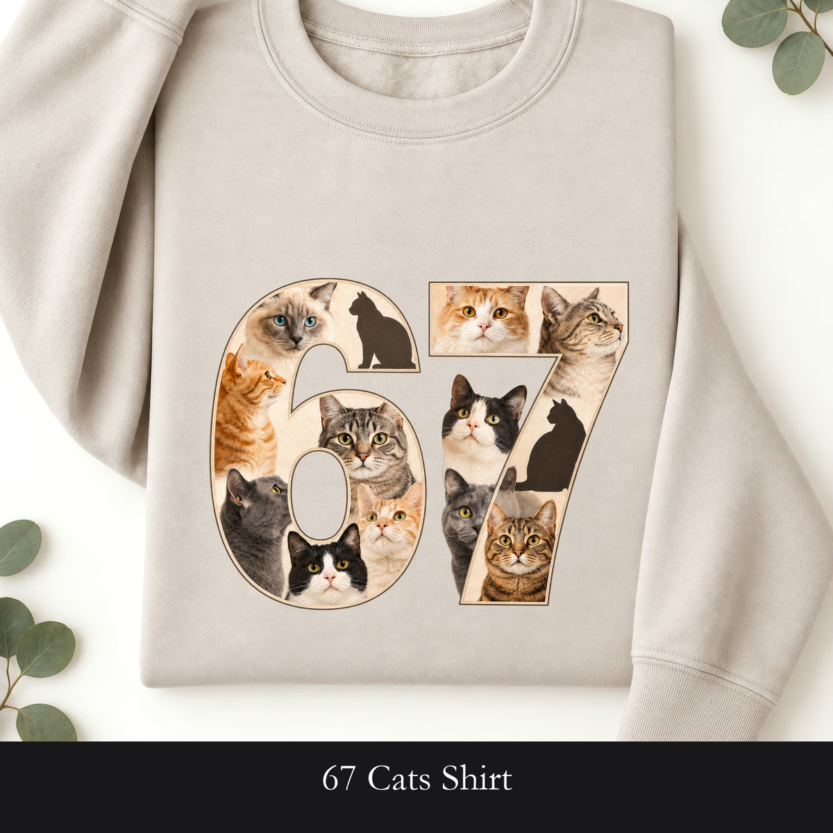 67 Cats Shirt, Funny 67 Meme Cat Tee, Trendy Cat Number Gift, Cat Lover Sweatshirt