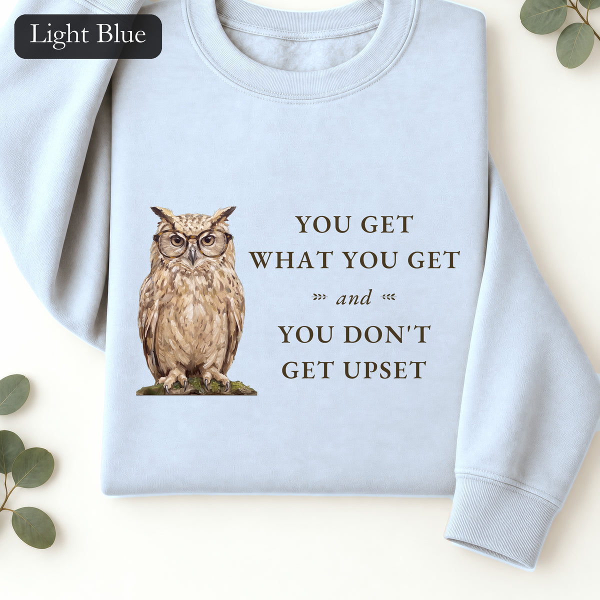 You Get What You Get Sweatshirt, Funny Teacher Owl Crewneck, Classroom Saying Shirt, Back to School Gift, Teacher Crewneck