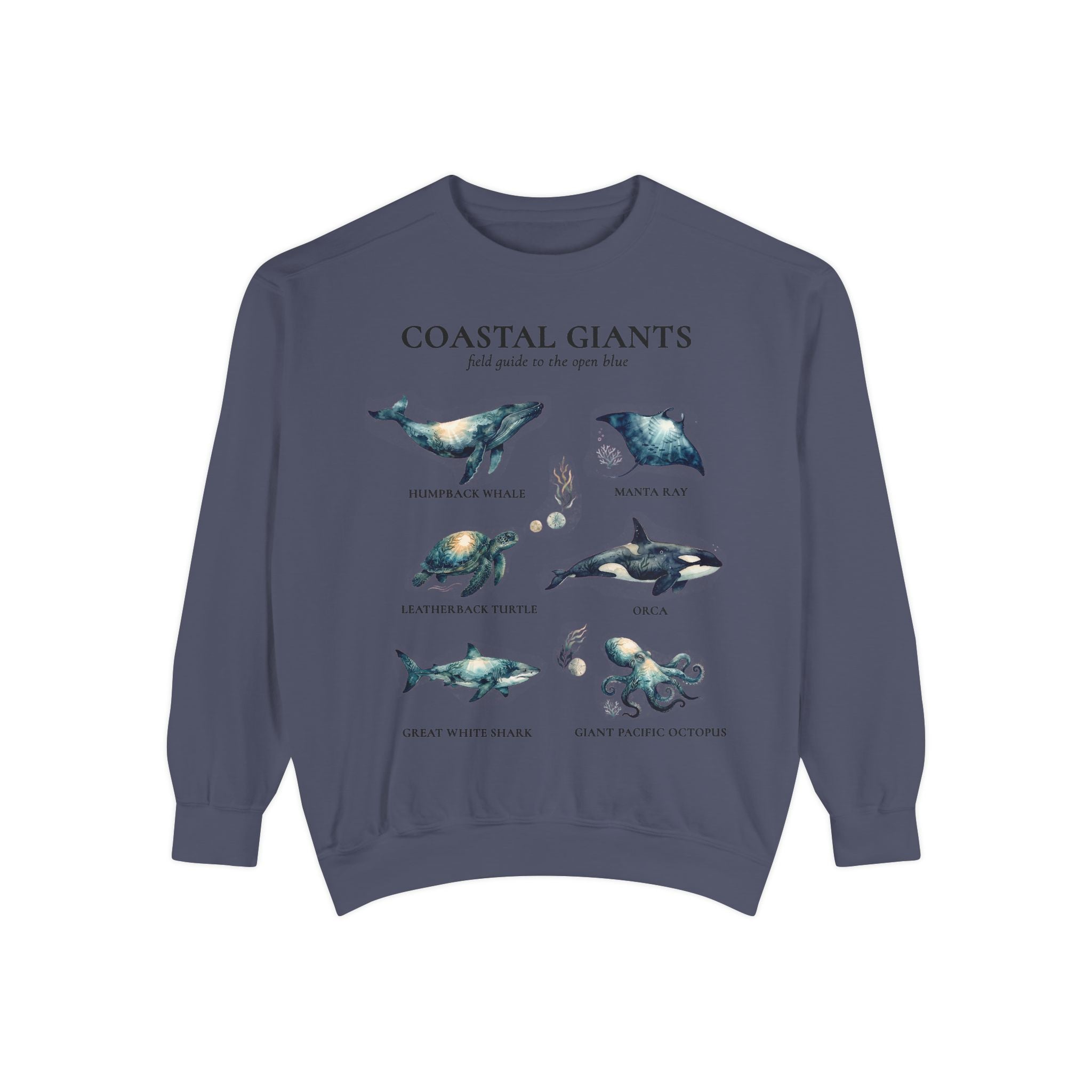 Coastal Giants Ocean Field Guide Shirt, Whale Manta Sea Turtle Tee, Marine Life Ocean Lover Gift, Nautical Sweatshirt