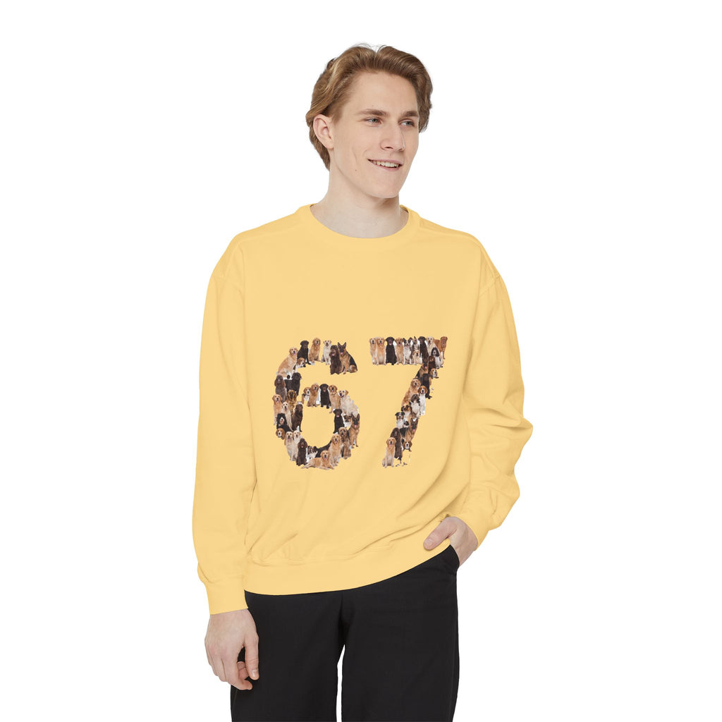67 Dogs Shirt, Funny 67 Meme Dog Tee, Trendy Dog Number Gift, Dog Lover Sweatshirt