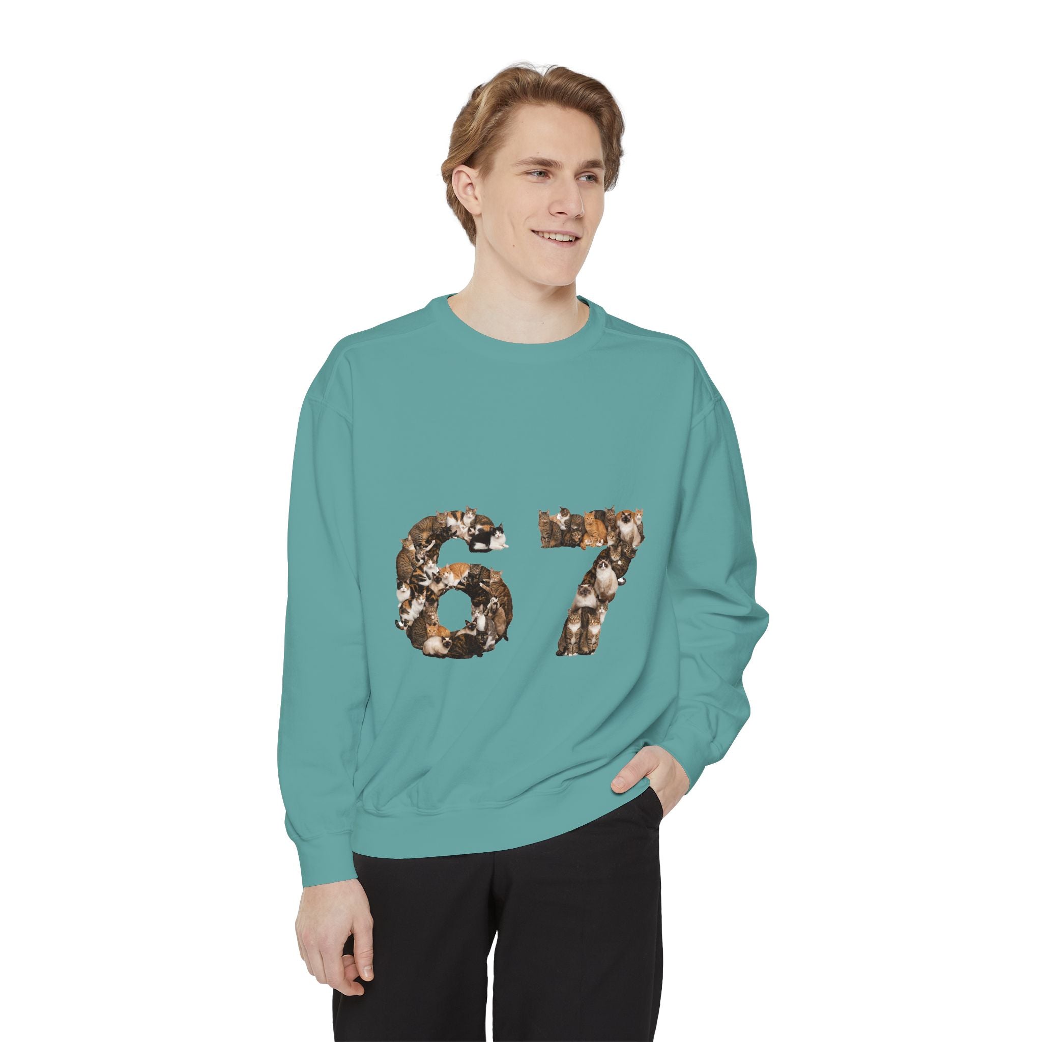 67 Cats Shirt, Funny 67 Meme Cat Tee, Trendy Cat Number Gift, Cat Lover Sweatshirt