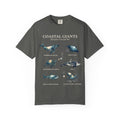 Coastal Giants Ocean Field Guide Shirt, Whale Manta Sea Turtle Tee, Marine Life Ocean Lover Gift, Nautical Sweatshirt