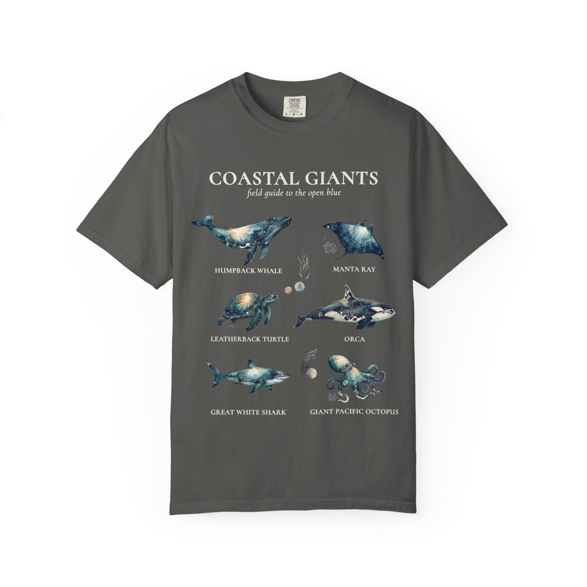 Coastal Giants Ocean Field Guide Shirt, Whale Manta Sea Turtle Tee, Marine Life Ocean Lover Gift, Nautical Sweatshirt