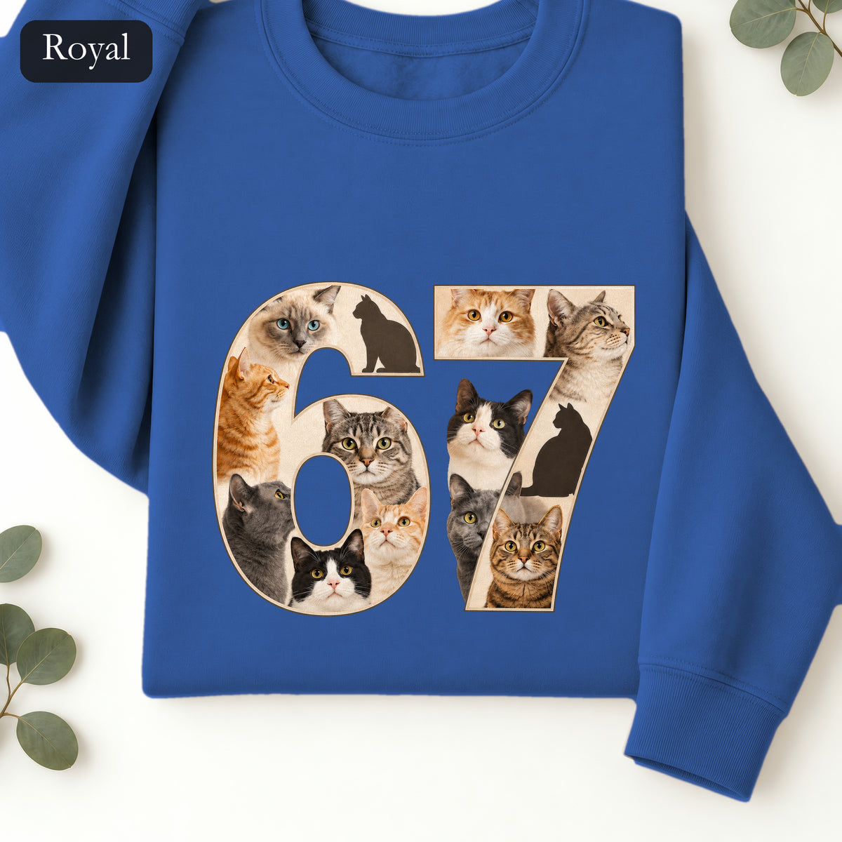 67 Cats Shirt, Funny 67 Meme Cat Tee, Trendy Cat Number Gift, Cat Lover Sweatshirt