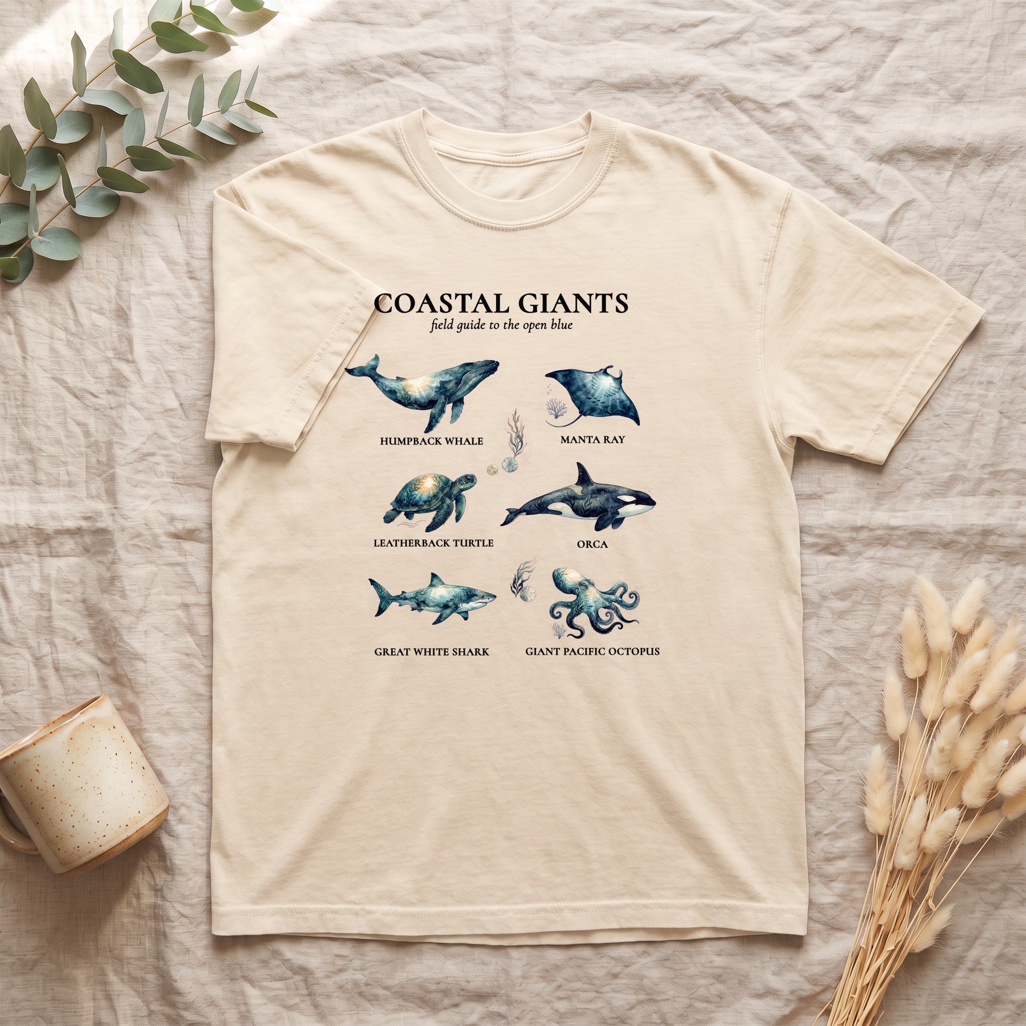 Coastal Giants Ocean Field Guide Shirt, Whale Manta Sea Turtle Tee, Marine Life Ocean Lover Gift, Nautical Sweatshirt